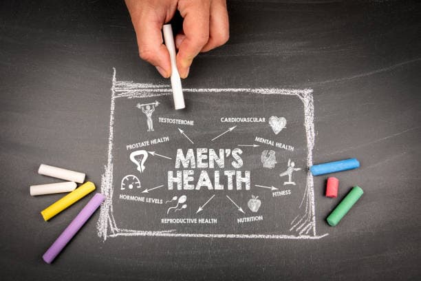Istockphoto 1731355458 612x612