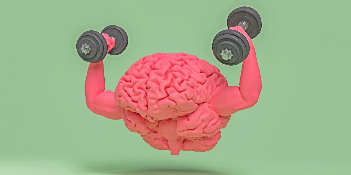 Dnna standard image ( 1200 x 600 ) (68)