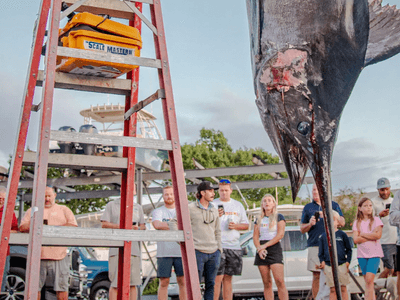 Crowd gathers around a large fish hanging from a ladder at a fishing event