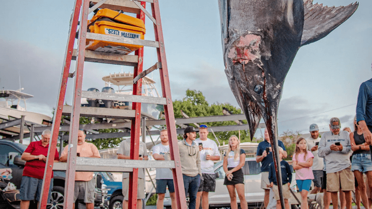 Crowd gathers around a large fish hanging from a ladder at a fishing event