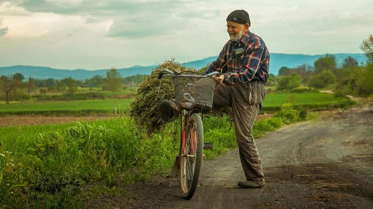 Men’s Health Month 2025: Bridging the Lifespan Gender Gap Through Empathy and Action