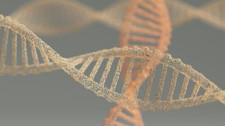 Hydreight Unveils Personalized Genetic Testing and Wellness Solution