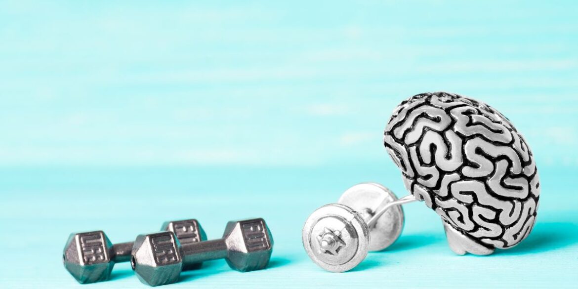 Dnna standard image ( 1200 x 600 ) (38)