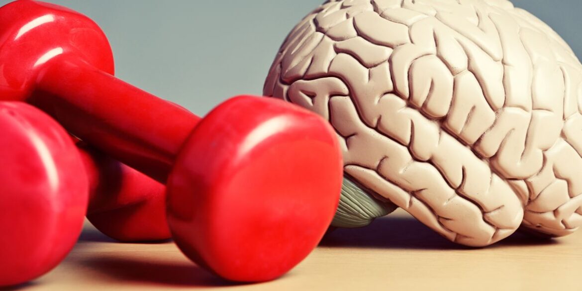 Dnna standard image ( 1200 x 600 ) (76)