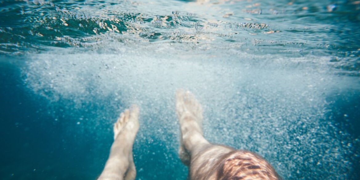 Dnna standard image ( 1200 x 600 ) (91)